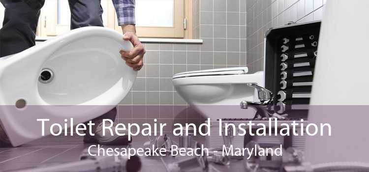 Toilet Repair and Installation Chesapeake Beach - Maryland