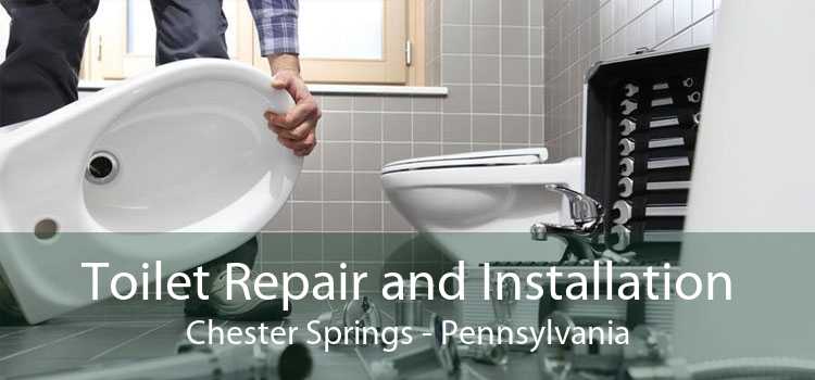 Toilet Repair and Installation Chester Springs - Pennsylvania