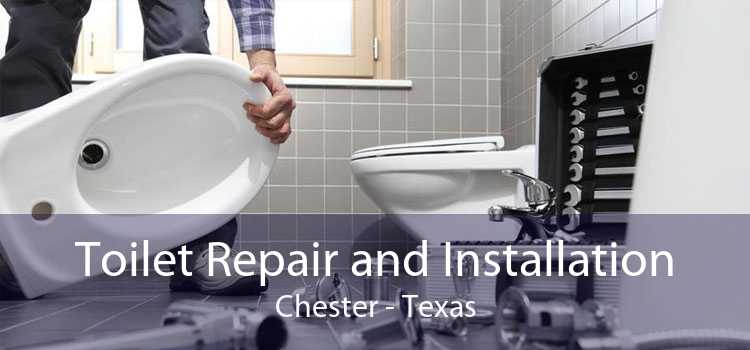 Toilet Repair and Installation Chester - Texas
