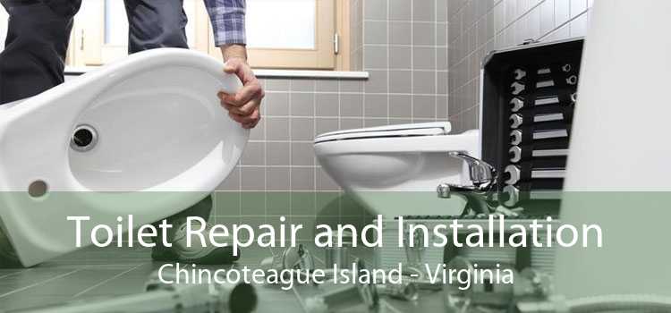 Toilet Repair and Installation Chincoteague Island - Virginia