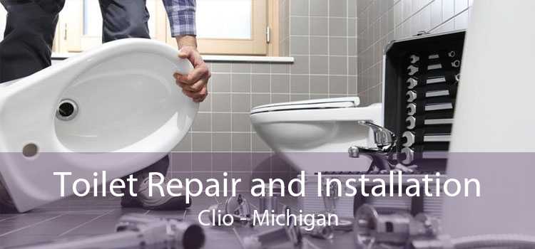 Toilet Repair and Installation Clio - Michigan