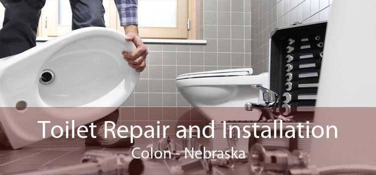 Toilet Repair and Installation Colon - Nebraska