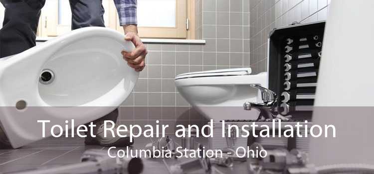 Toilet Repair and Installation Columbia Station - Ohio