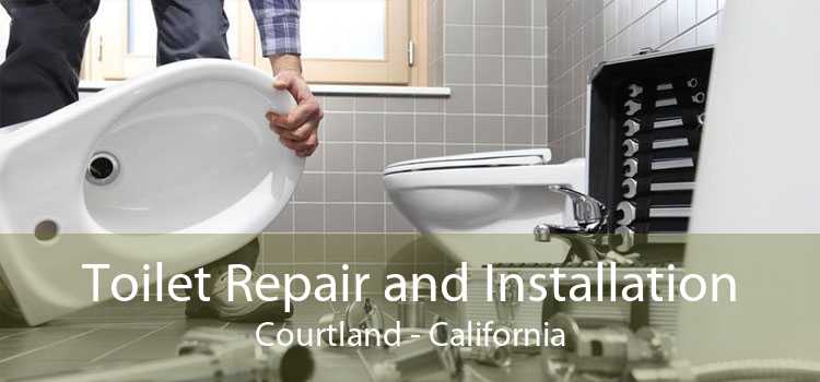 Toilet Repair and Installation Courtland - California