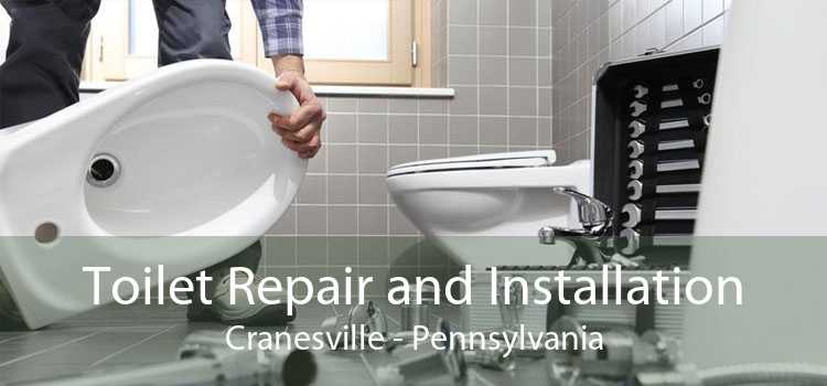 Toilet Repair and Installation Cranesville - Pennsylvania