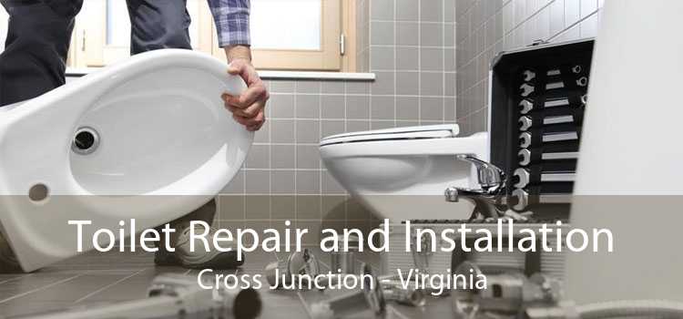 Toilet Repair and Installation Cross Junction - Virginia
