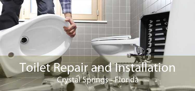 Toilet Repair and Installation Crystal Springs - Florida