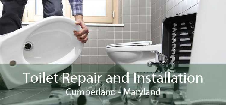 Toilet Repair and Installation Cumberland - Maryland