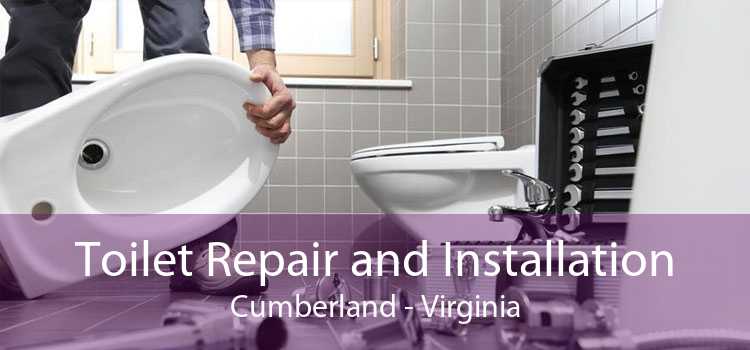 Toilet Repair and Installation Cumberland - Virginia