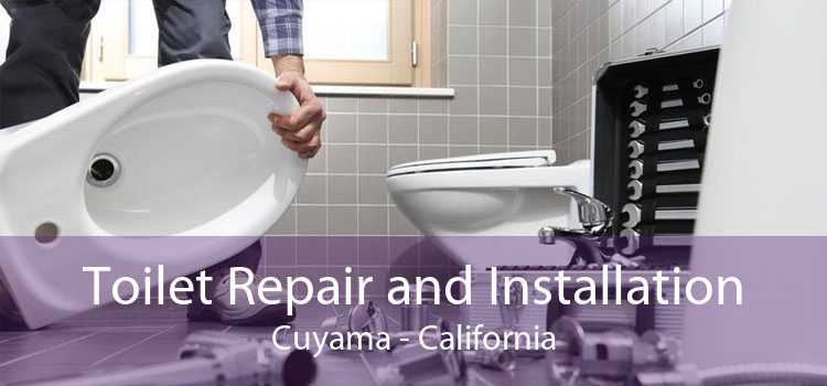 Toilet Repair and Installation Cuyama - California
