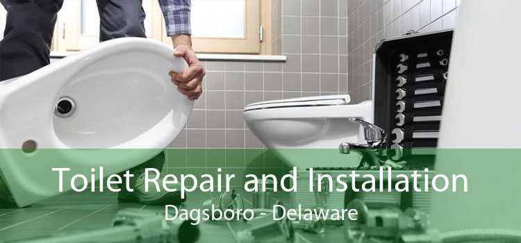 Toilet Repair and Installation Dagsboro - Delaware