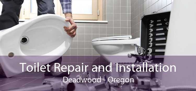 Toilet Repair and Installation Deadwood - Oregon