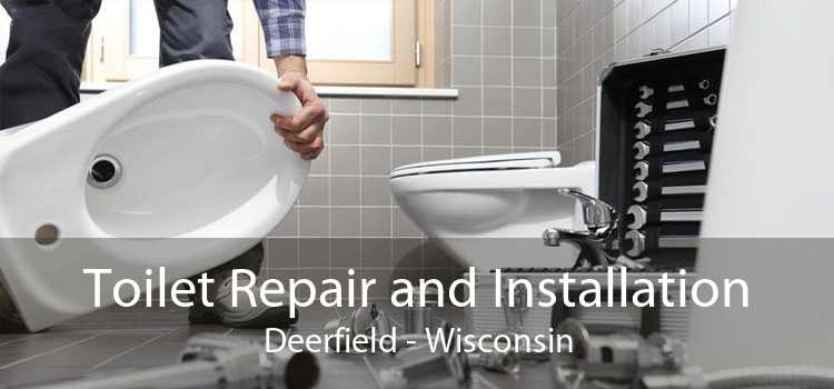 Toilet Repair and Installation Deerfield - Wisconsin