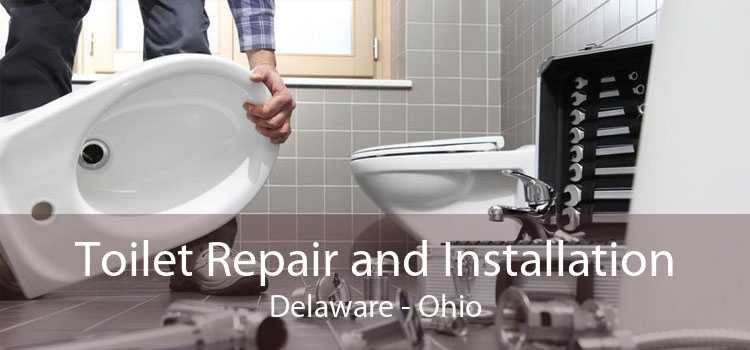 Toilet Repair and Installation Delaware - Ohio