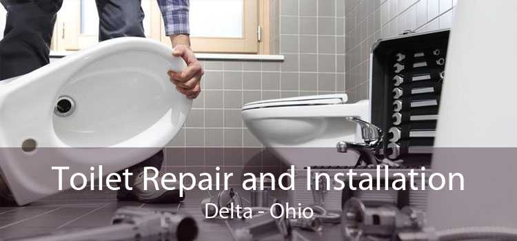 Toilet Repair and Installation Delta - Ohio