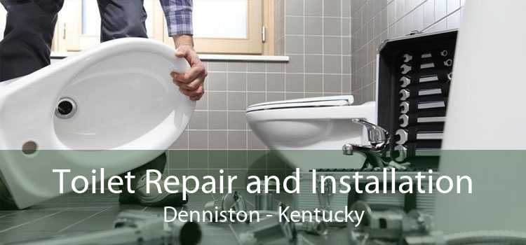 Toilet Repair and Installation Denniston - Kentucky