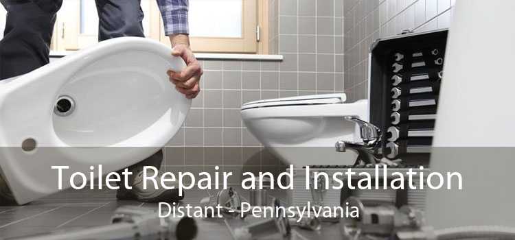 Toilet Repair and Installation Distant - Pennsylvania