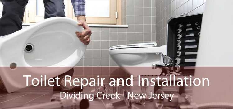Toilet Repair and Installation Dividing Creek - New Jersey