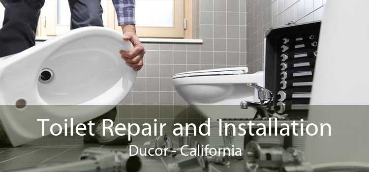 Toilet Repair and Installation Ducor - California