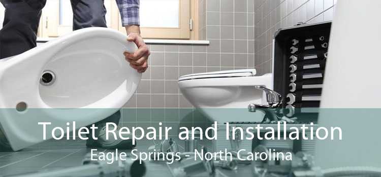Toilet Repair and Installation Eagle Springs - North Carolina
