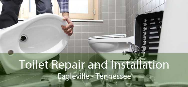 Toilet Repair and Installation Eagleville - Tennessee