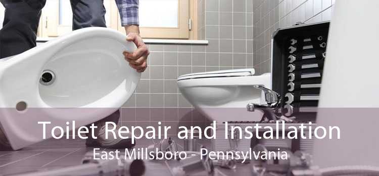 Toilet Repair and Installation East Millsboro - Pennsylvania