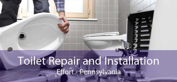 Toilet Repair and Installation Effort - Pennsylvania