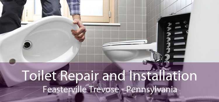 Toilet Repair and Installation Feasterville Trevose - Pennsylvania