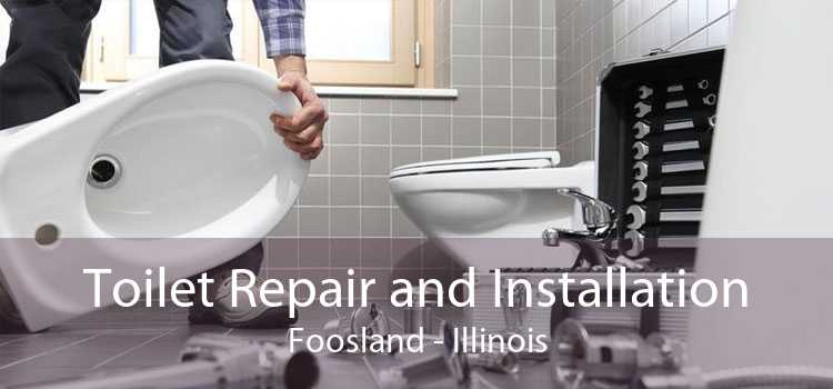 Toilet Repair and Installation Foosland - Illinois
