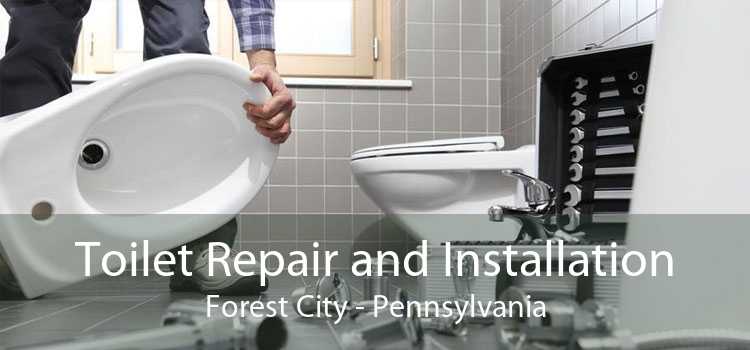 Toilet Repair and Installation Forest City - Pennsylvania