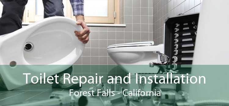 Toilet Repair and Installation Forest Falls - California
