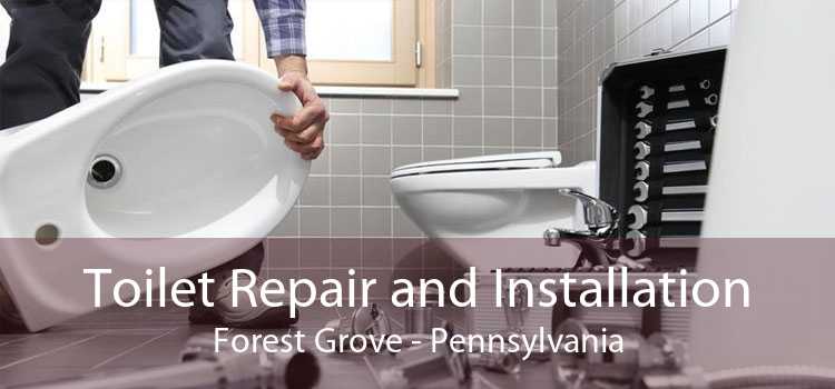 Toilet Repair and Installation Forest Grove - Pennsylvania
