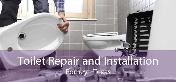 Toilet Repair and Installation Forney - Texas