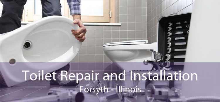 Toilet Repair and Installation Forsyth - Illinois