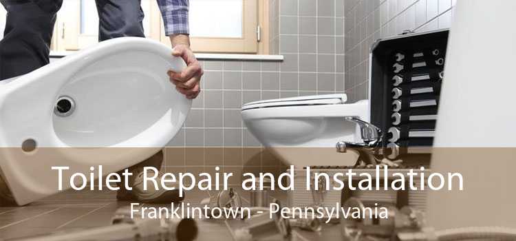 Toilet Repair and Installation Franklintown - Pennsylvania