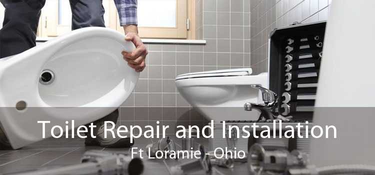 Toilet Repair and Installation Ft Loramie - Ohio