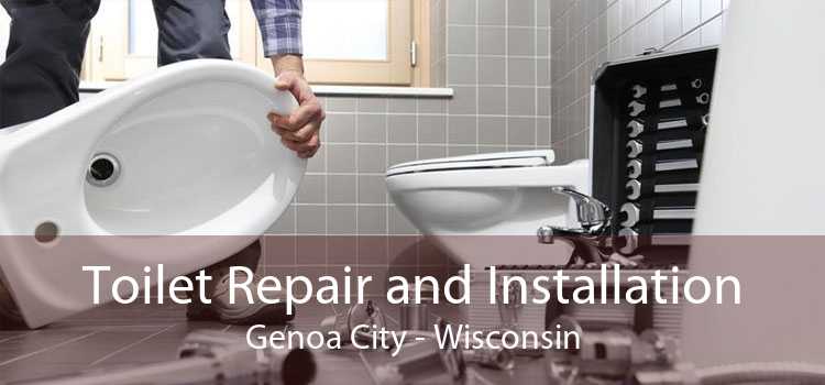 Toilet Repair and Installation Genoa City - Wisconsin