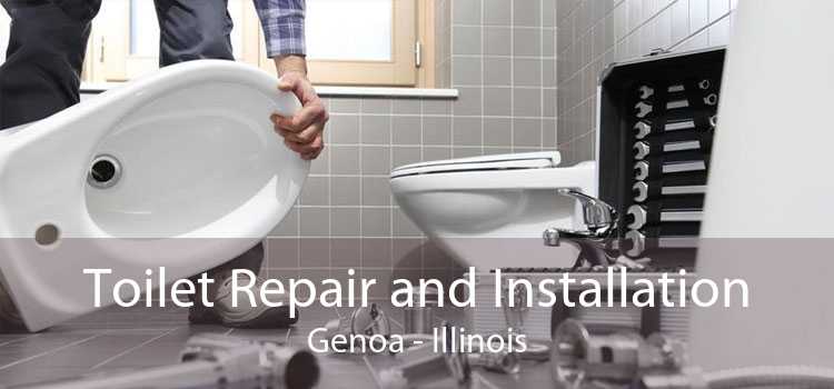 Toilet Repair and Installation Genoa - Illinois