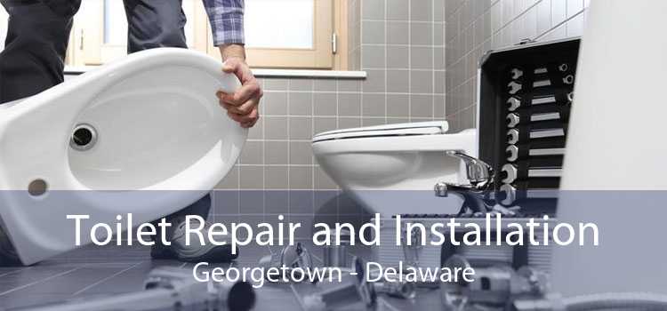 Toilet Repair and Installation Georgetown - Delaware