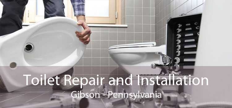 Toilet Repair and Installation Gibson - Pennsylvania