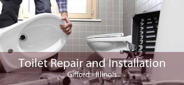 Toilet Repair and Installation Gifford - Illinois