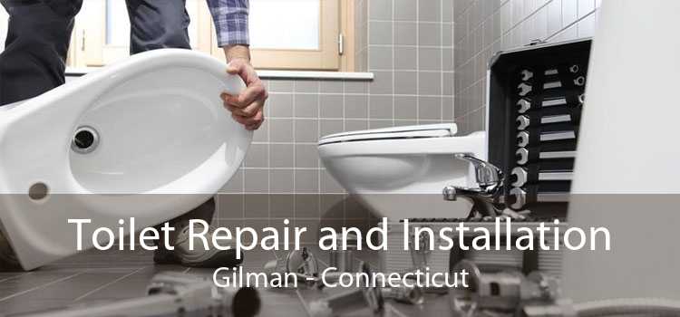 Toilet Repair and Installation Gilman - Connecticut