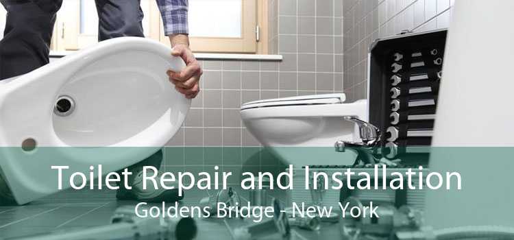 Toilet Repair and Installation Goldens Bridge - New York