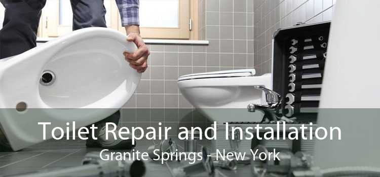 Toilet Repair and Installation Granite Springs - New York