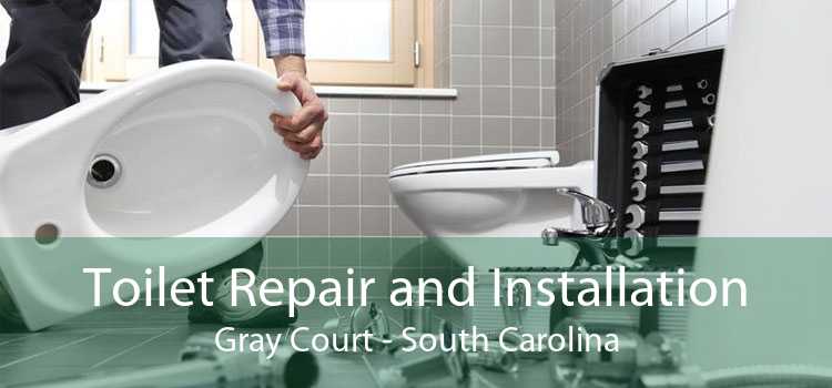 Toilet Repair and Installation Gray Court - South Carolina