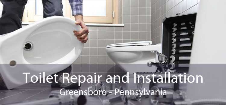 Toilet Repair and Installation Greensboro - Pennsylvania