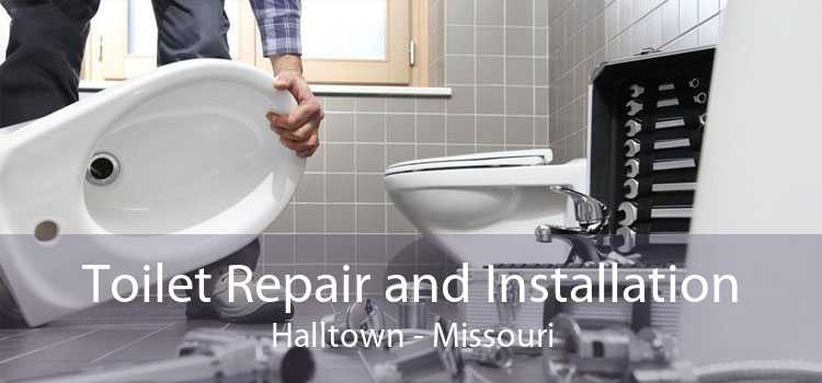 Toilet Repair and Installation Halltown - Missouri