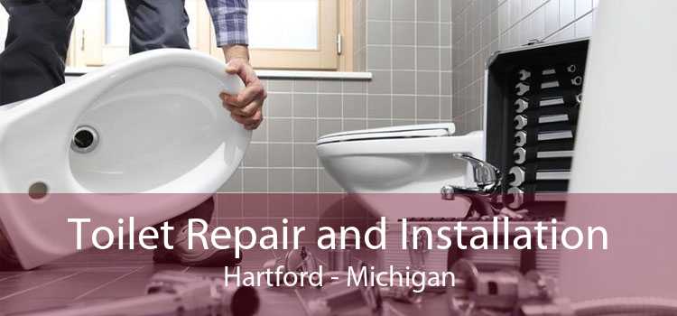 Toilet Repair and Installation Hartford - Michigan