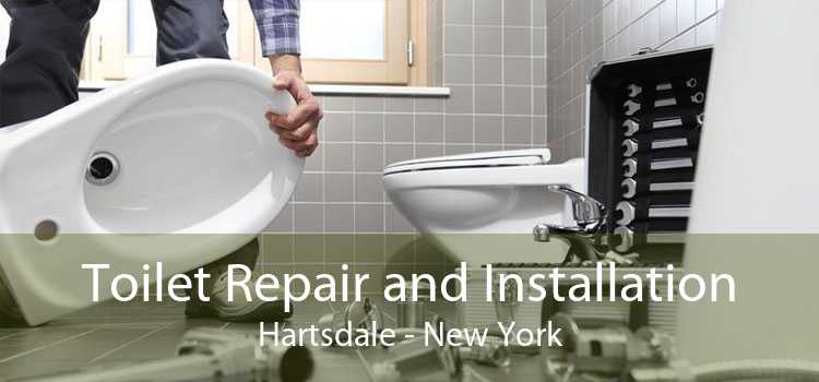 Toilet Repair and Installation Hartsdale - New York