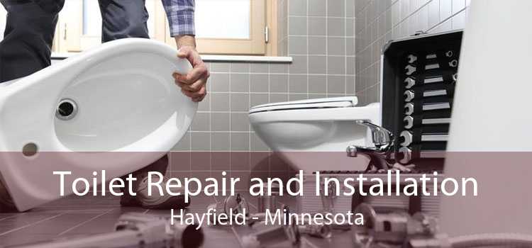Toilet Repair and Installation Hayfield - Minnesota
